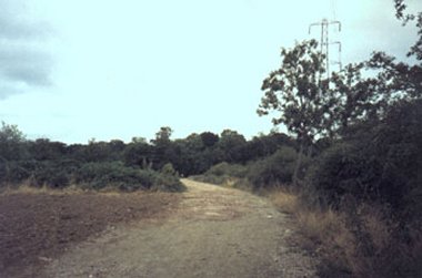 Aldersbrook Exchange Lands