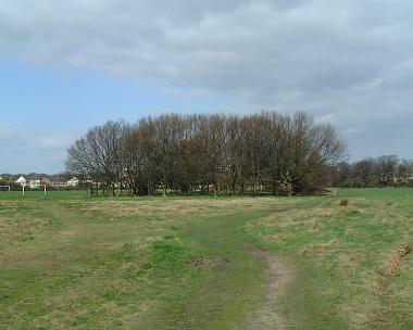 1953 plantation, Wanstead Flats