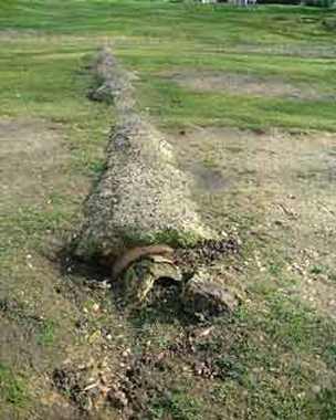 Alexandra Lake, Wanstead Flats
