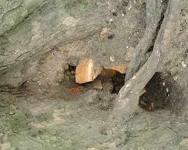 Alexandra Lake, Wanstead Flats