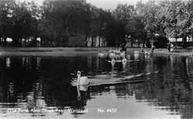 Alexandra Lake, Wanstead Flats