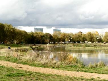 , Wanstead Flats