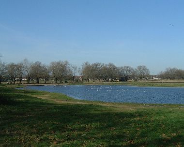 Model Yacht Pond, Wanstead Flats