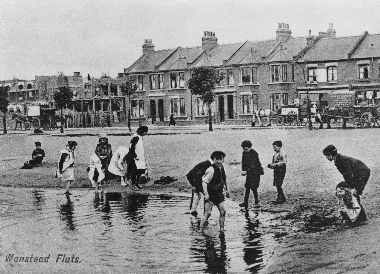 Wanstead Flats