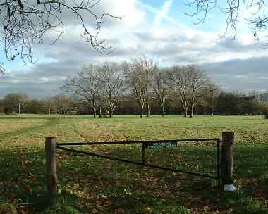 Wanstead Flats