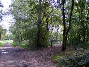 Aldersbrook Exchange Lands