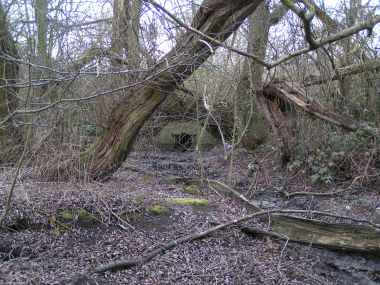 Wanstead Park - Lake System