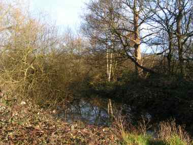 Wanstead Park - Lake System