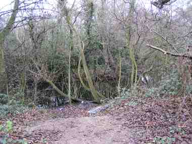 Wanstead Park - Perch Pond