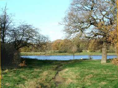 Wanstead Park - Lake System