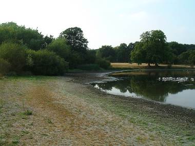 Wanstead Park - Lake System