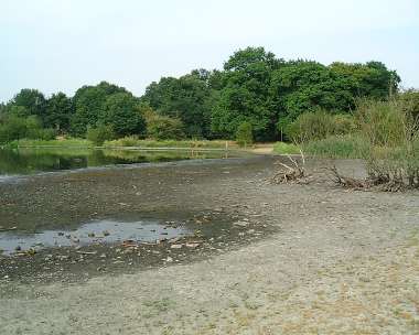 Wanstead Park - Lake System