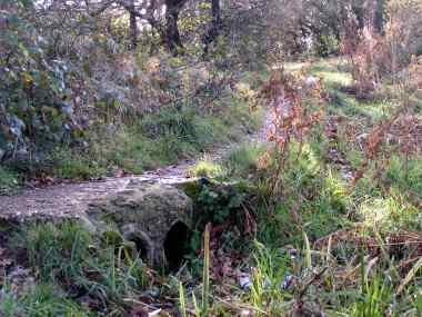Wanstead Park - Lake System